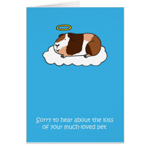 Loss of Pet Guinea Pig Sympathy Cards