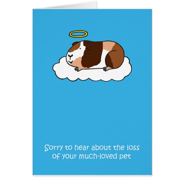 Loss of Pet Guinea Pig Sympathy Cards (Front)