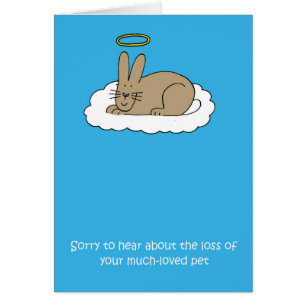Loss of Pet Rabbit Sympathy Cards