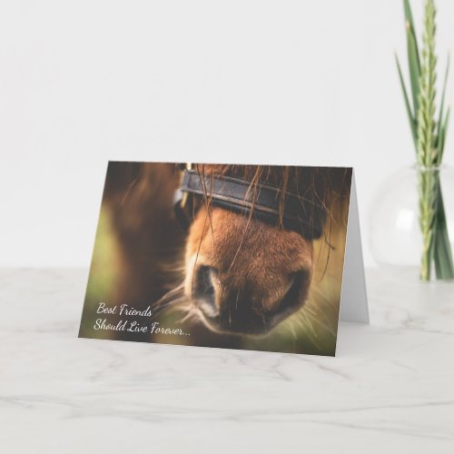 Loss of Pony Custom Message Horse Sympathy Card