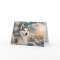 Loss of Siberian Husky Dog Heaven Sympathy