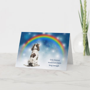 Loss of Springer Spaniel Dog Night Lights Sympathy Holiday Card