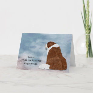 Loss of St Bernard Condolence Sympathy Card