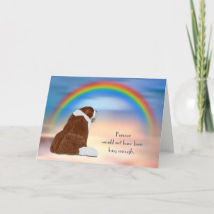 Loss of St Bernard Dog Rainbow Sympathy Card