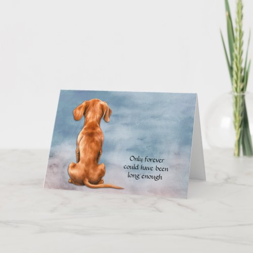 Loss of Vizsla Dog Sympathy Card