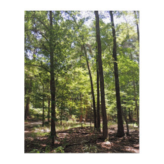 Lost Acres Acrylic Print