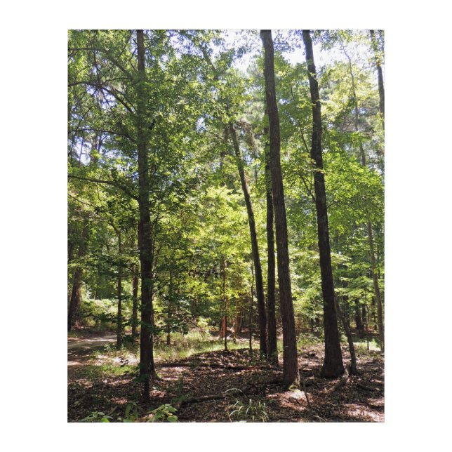 Lost Acres Acrylic Print (Front)