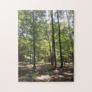 Lost Acres Jigsaw Puzzle