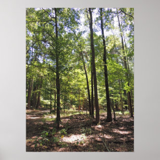 Lost Acres Print