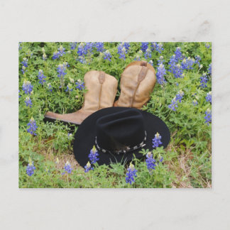 Lost Among Bluebonnets Postcard