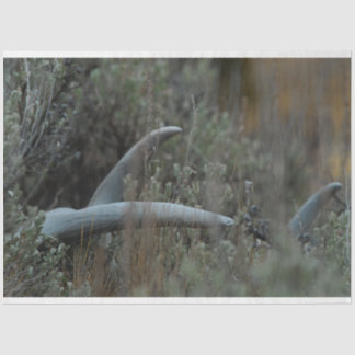 Lost Antlers Tissue Paper