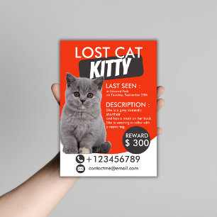 Lost Cat Flyer Template – Customizable Missing Pet