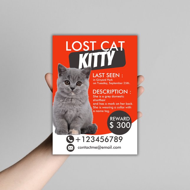 Lost Cat Flyer Template – Customizable Missing Pet (Creator Uploaded)