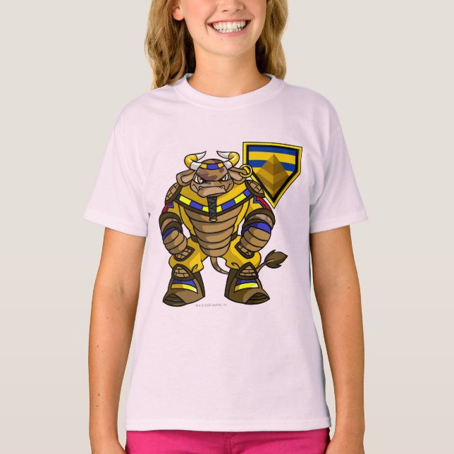 Lost Desert Team Captain 1 T-Shirt (Front)