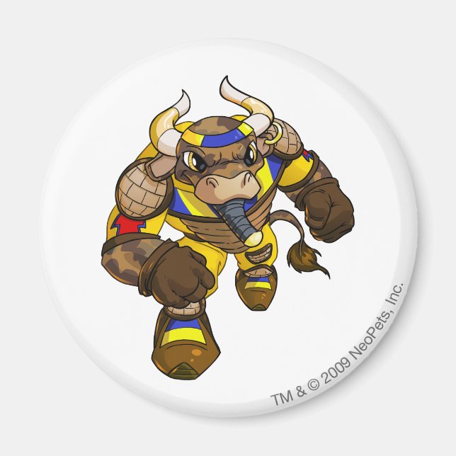 Lost Desert Team Captain 2 Magnet (Front)