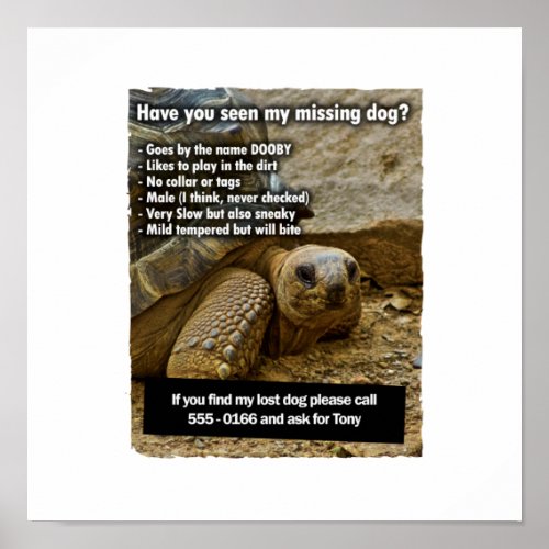 Lost Dog DOOBY Poster