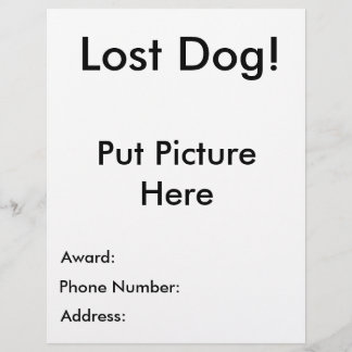 Lost Dog Flyer
