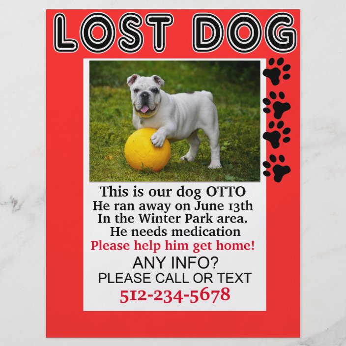 Lost Dog Flyer Please Help Him Get Home Notice Zazzle