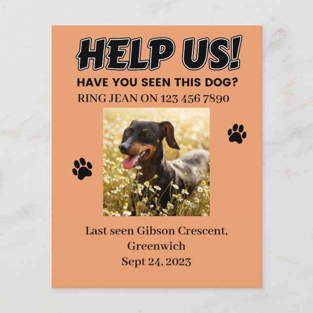 LOST DOG FLYERS. HELP US! Editable details  Flyer (Front)