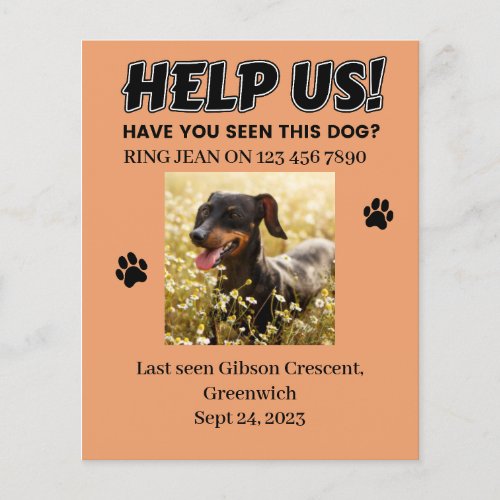 LOST DOG FLYERS HELP US Editable details  Flyer
