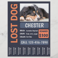 Lost Dog Missing Reward Poster