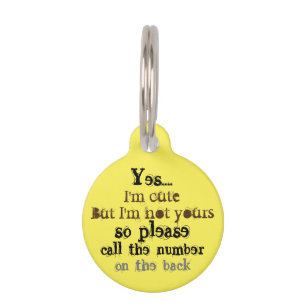 lost dog pet ID tag