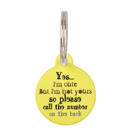 lost dog pet ID tag