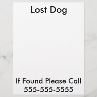 Lost Dog Poster Flyer