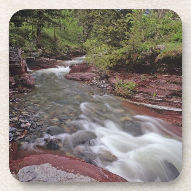 Lost Horse Creek in Waterton Lakes National Park Beverage Coaster (Front)
