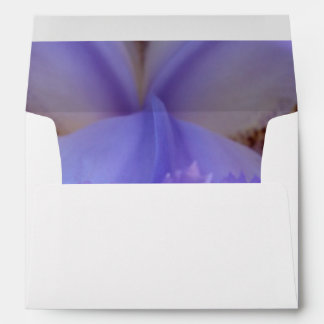 Lost in a Dream Envelope