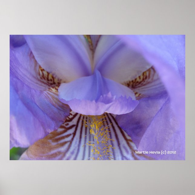 Lost in a Dream Poster (Front)