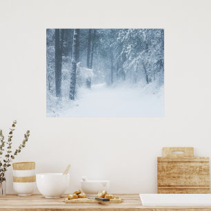 Lost in a magical forest poster