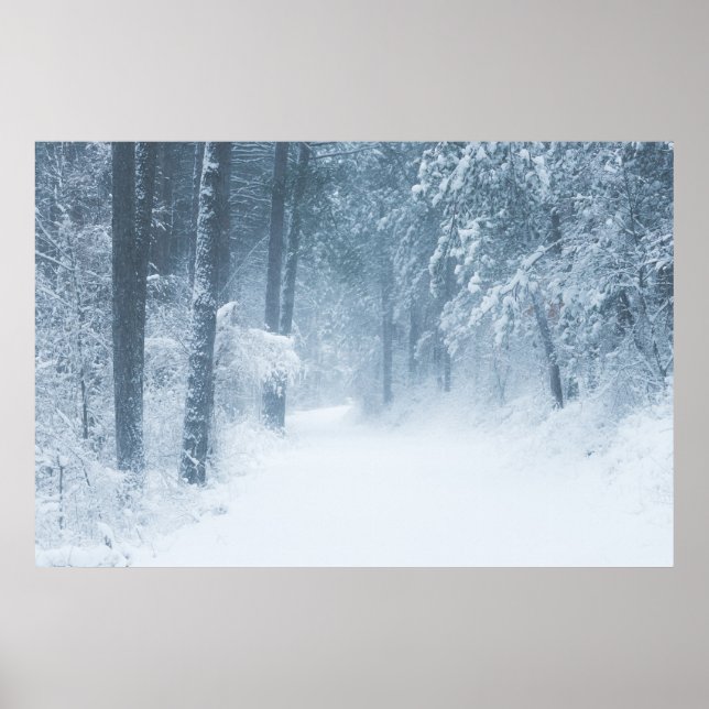 Lost in a magical forest poster (Front)