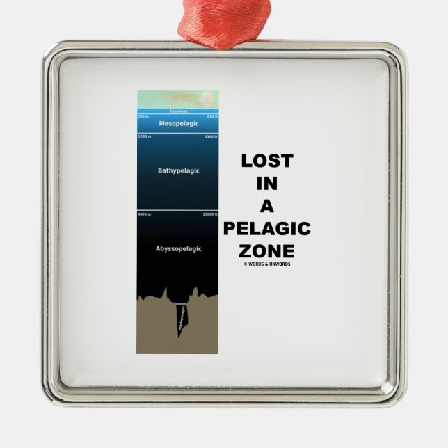 Lost In A Pelagic Zone (Oceanography Humor) Metal Ornament (Front)