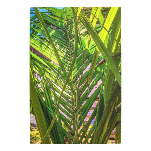 Lost in Palm Fronds Metal Wall Art (Front)