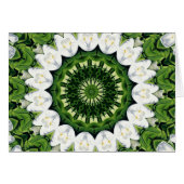 Lost In Paradise (Front Horizontal)