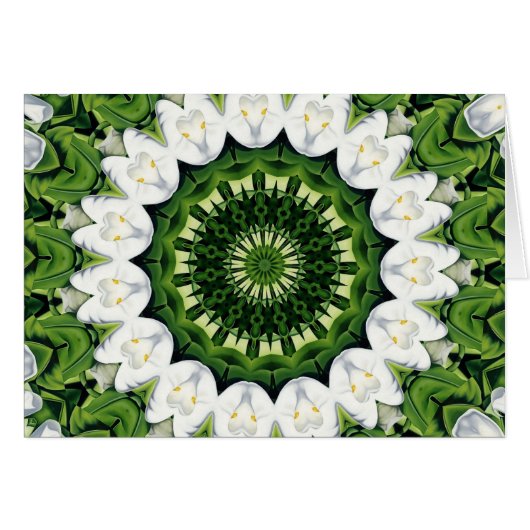 Lost In Paradise (Front Horizontal)