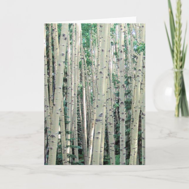 Lost in the Aspens - Blank Inside Greeting Card (Front)