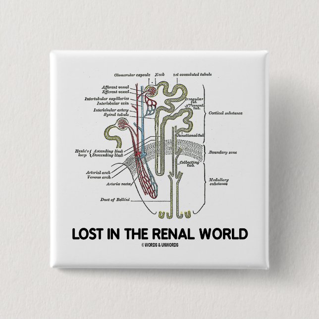 Lost In The Renal World (Kidney Nephron) Button (Front)