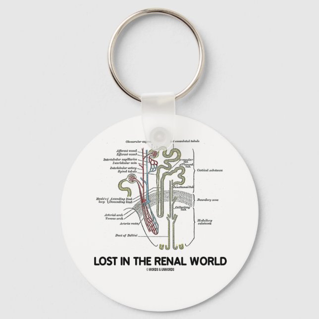 Lost In The Renal World (Kidney Nephron) Keychain (Front)