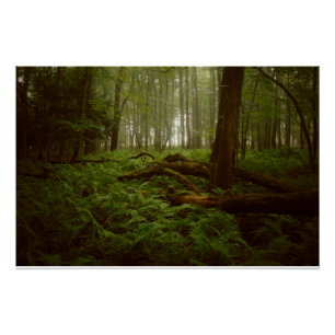 Lost in the Woods Poster