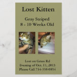 Lost Kitten Flyer