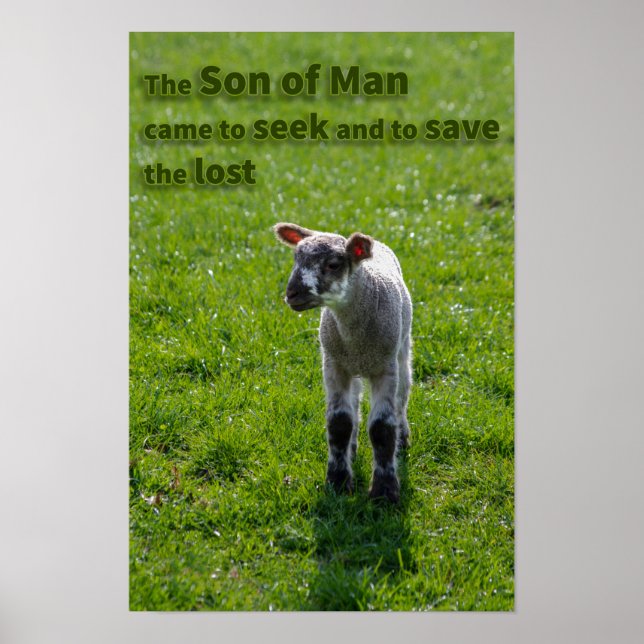 Lost lamb poster (Front)