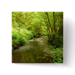 Lost Man Creek I at Redwood National Park Button