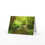 Lost Man Creek I at Redwood National Park Card