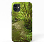 Lost Man Creek I at Redwood National Park iPhone 11 Case