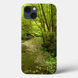Lost Man Creek I at Redwood National Park iPhone 13 Case
