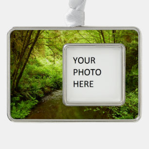 Lost Man Creek I at Redwood National Park Christmas Ornament