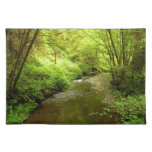 Lost Man Creek I at Redwood National Park Cloth Placemat
