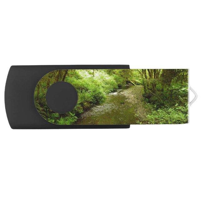 Lost Man Creek I at Redwood National Park Flash Drive (Front)